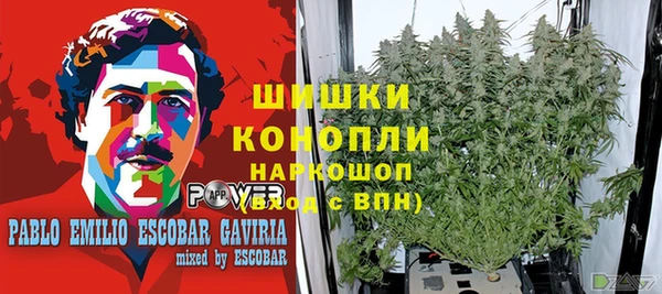 метадон Аркадак