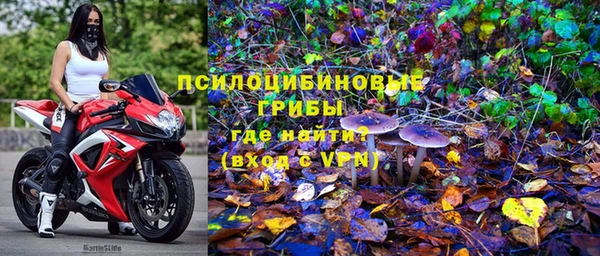 jwh Белокуриха